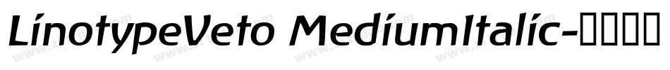 LinotypeVeto MediumItalic字体转换